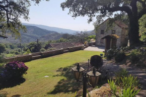 Casa da Mena - Casa de Campo no Caramulo